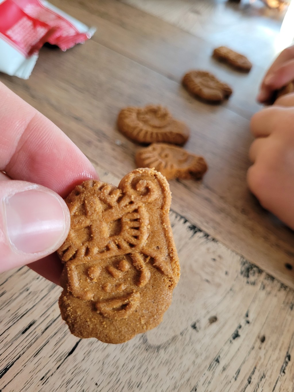 Mijn fietsende zeekapitein